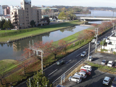 水戸のホテルから(MINOLTA Dimage F100)20041118